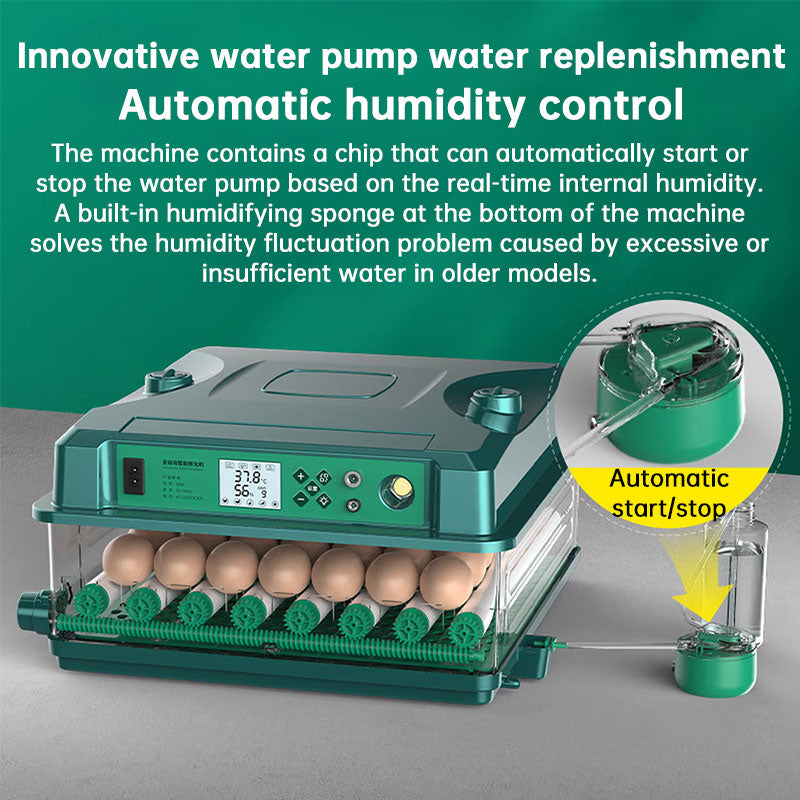 24/36 Egg Incubator Fully Automatic, Auto Turner & Temp Control, Dual Power 220V/12V Mini Poultry Hatcher for Chicken Duck by eprolo