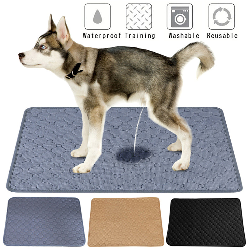 Pet Parents Pads Washable Dog Pee Pads Of Premium Pee Pads For Dogs Waterproof Training Pads For Dogs Reusable Dog Pee Pads Modern Puppy Pads by DERILUJA LLC