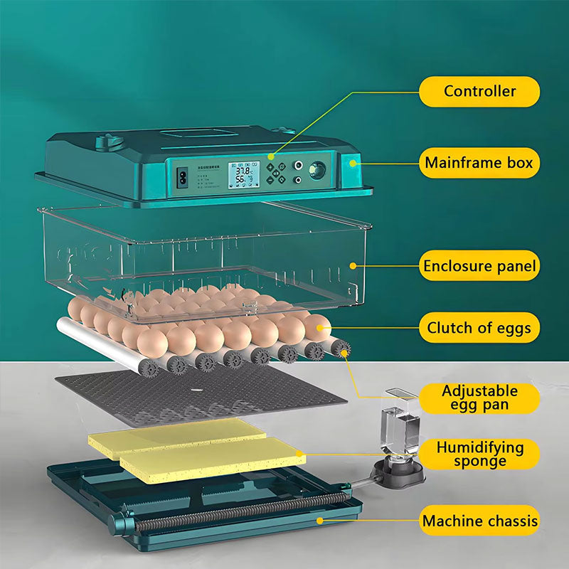 24/36 Egg Incubator Fully Automatic, Auto Turner & Temp Control, Dual Power 220V/12V Mini Poultry Hatcher for Chicken Duck by eprolo