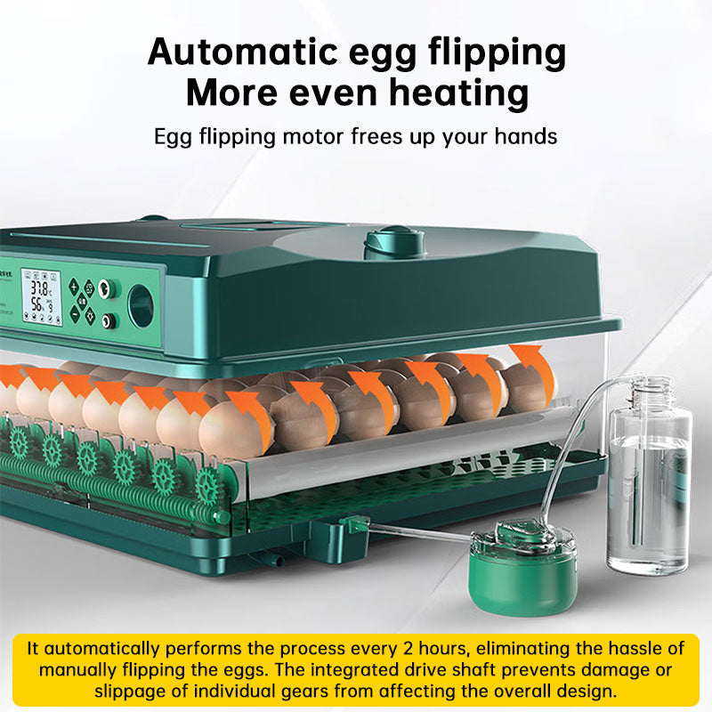 24/36 Egg Incubator Fully Automatic, Auto Turner & Temp Control, Dual Power 220V/12V Mini Poultry Hatcher for Chicken Duck by eprolo