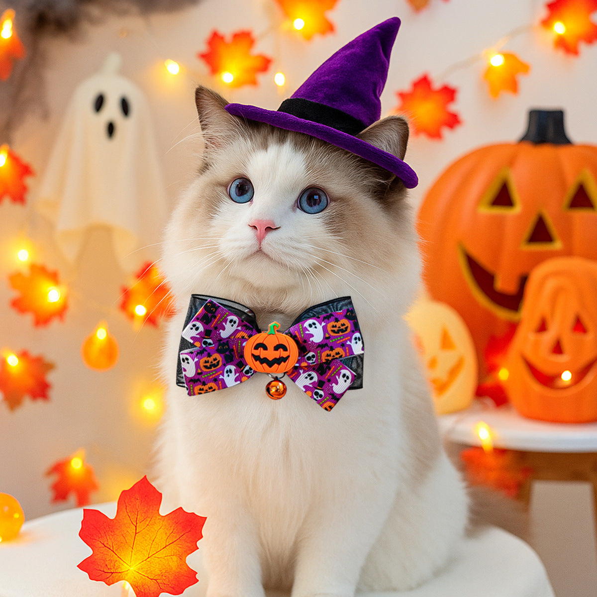 Pet Halloween Pet Collar with Funny Pumpkin Decoration, Dog Collar with Bow Tie, Cat Scarf for Small Dogs by eprolo