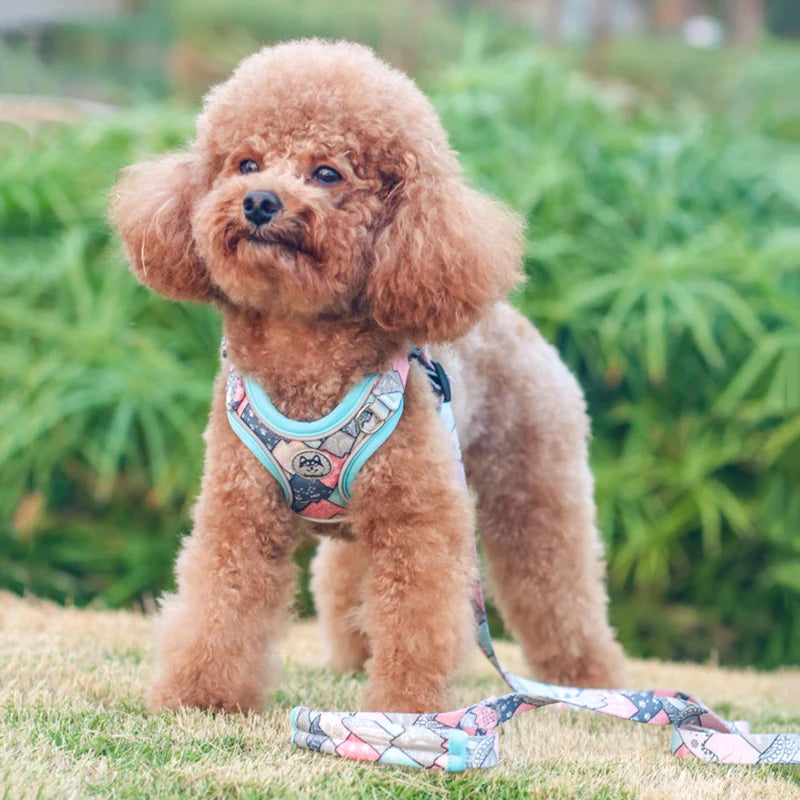 Luxury Pet Vest Harnesses for Small Medium Dogs Adjustable Mesh Puppy Dog Harness and Leash Set Shiba Inu Leads mascotas Chain by Badon Shop LLC