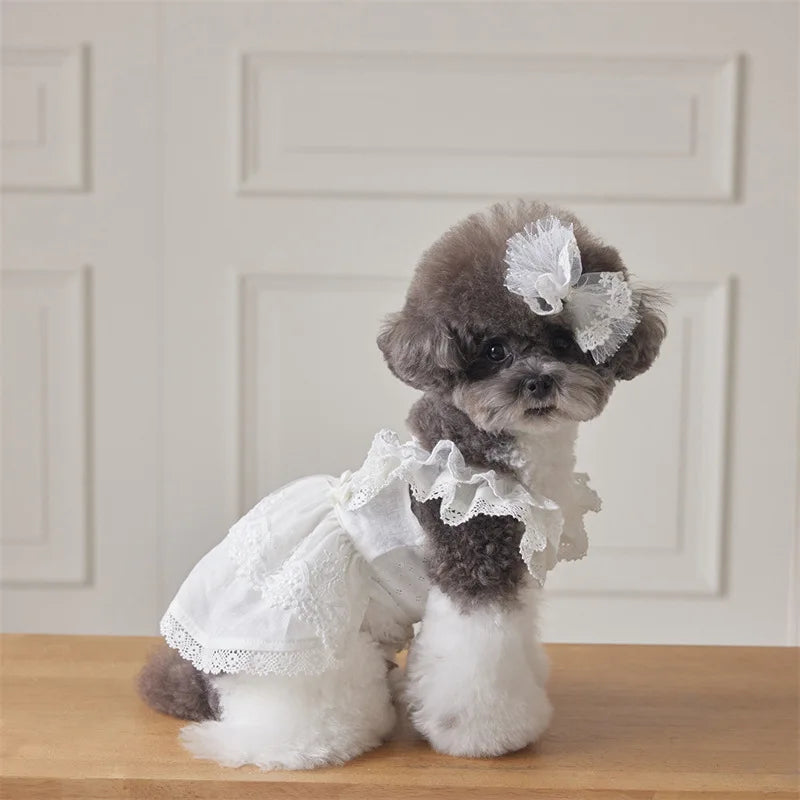 Pet Lace Flying Sleeve Dress Cat Top Spring Lace Princess Dress Small Dog Dog Dresses for Small Dogs Puppy Clothes by DERILUJA LLC