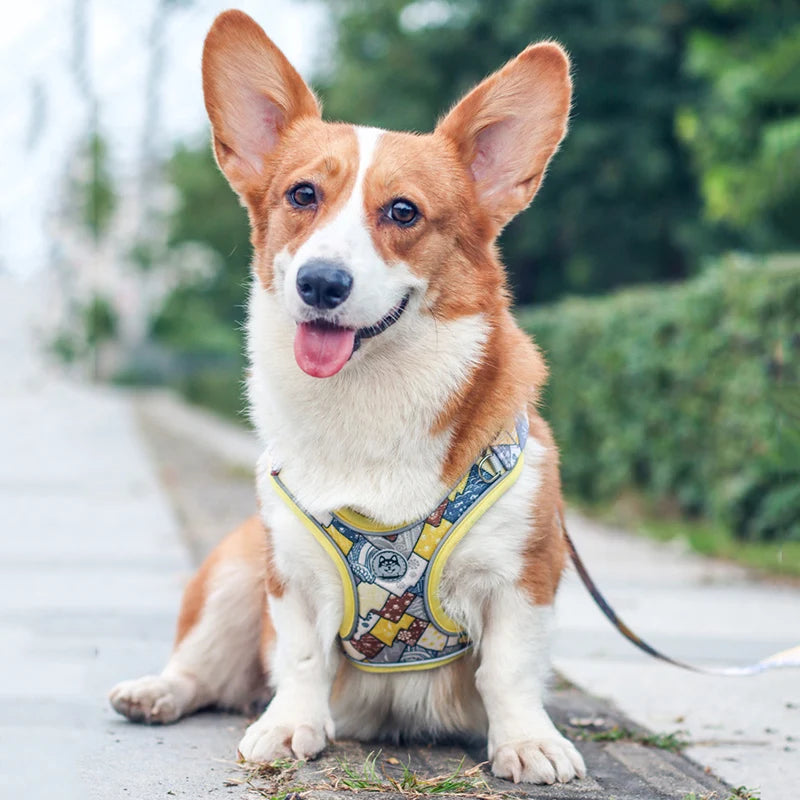 Luxury Pet Vest Harnesses for Small Medium Dogs Adjustable Mesh Puppy Dog Harness and Leash Set Shiba Inu Leads mascotas Chain by Badon Shop LLC