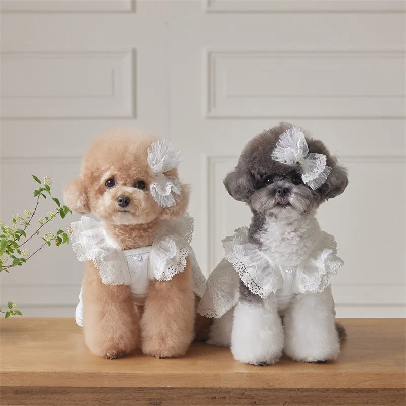 Pet Lace Flying Sleeve Dress Cat Top Spring Lace Princess Dress Small Dog Dog Dresses for Small Dogs Puppy Clothes by DERILUJA LLC
