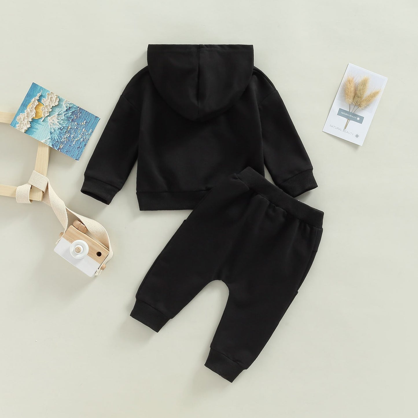 Baby Boys 2Pcs Fall Outfits